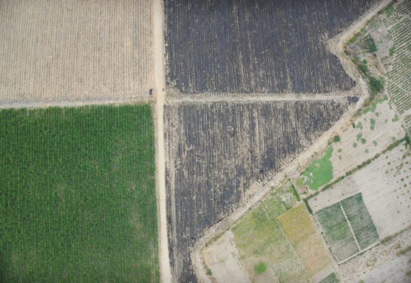 aerial-view-of-farm-sugar-cane-agriculture-2026-01-11-10-25-16-utc